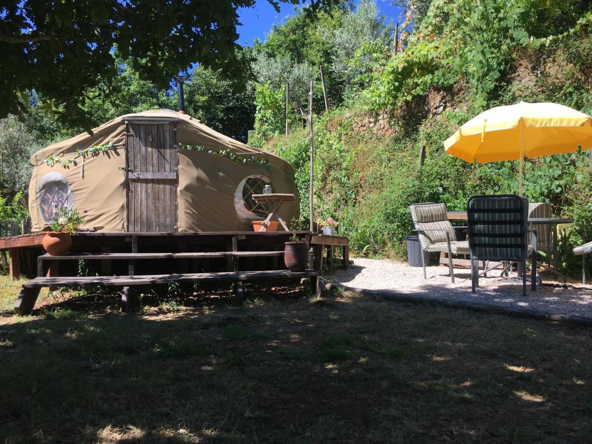 Star Gazing Luxury Yurt With River Views, Off Grid Eco Living Vale do Barco エクステリア 写真