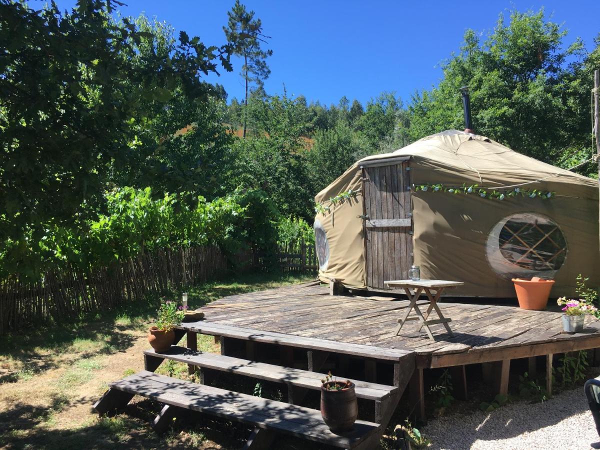 Star Gazing Luxury Yurt With River Views, Off Grid Eco Living Vale do Barco エクステリア 写真