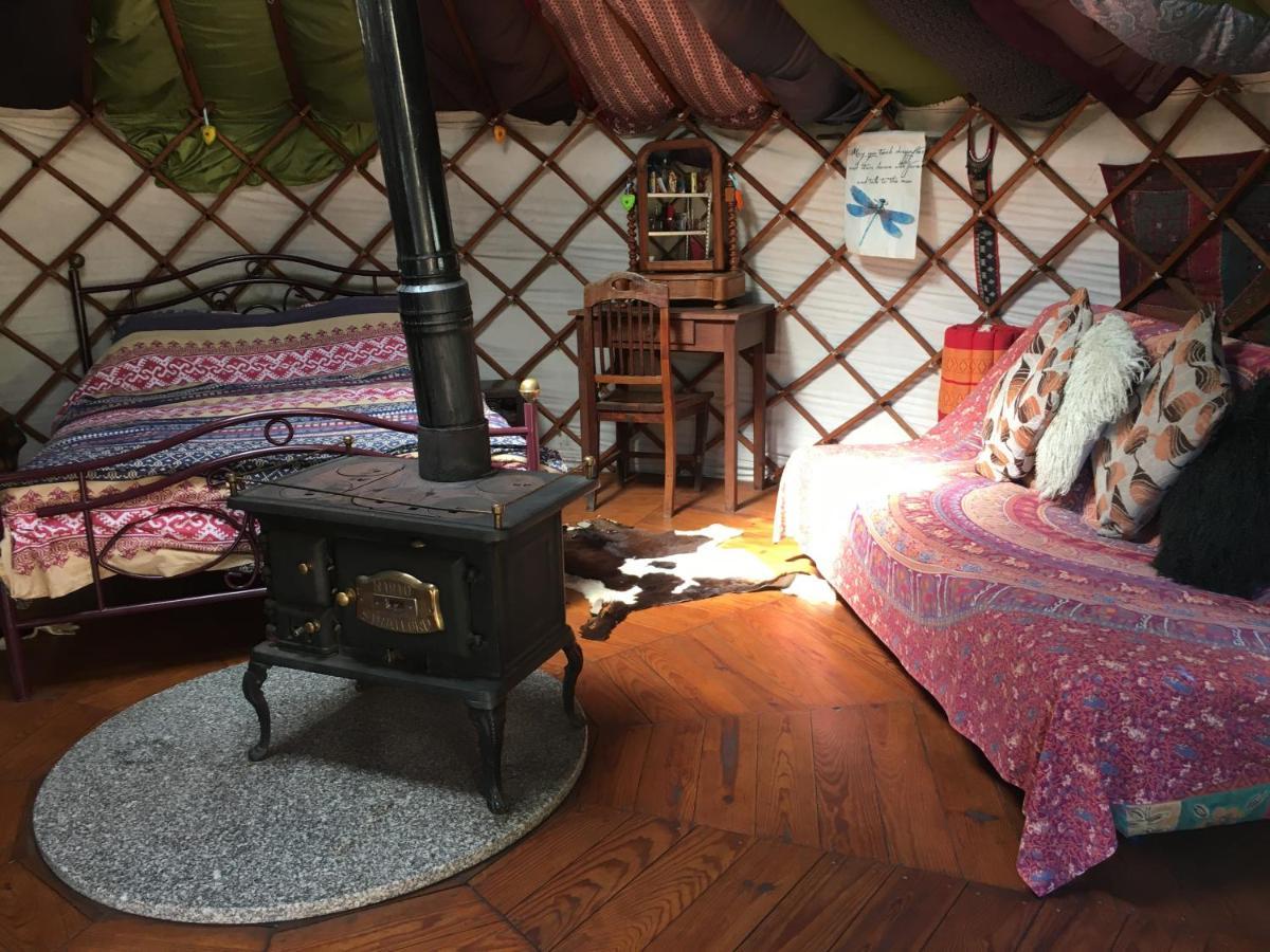 Star Gazing Luxury Yurt With River Views, Off Grid Eco Living Vale do Barco エクステリア 写真