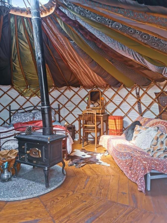 Star Gazing Luxury Yurt With River Views, Off Grid Eco Living Vale do Barco エクステリア 写真
