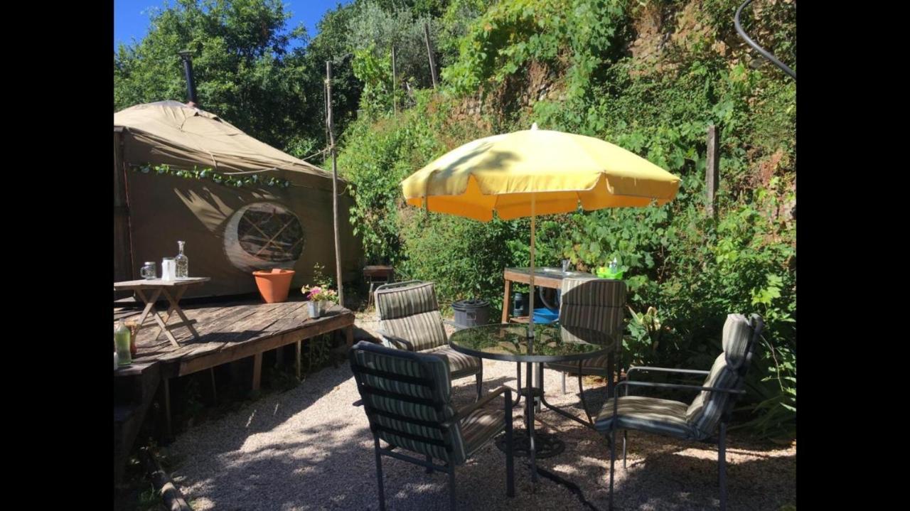 Star Gazing Luxury Yurt With River Views, Off Grid Eco Living Vale do Barco エクステリア 写真