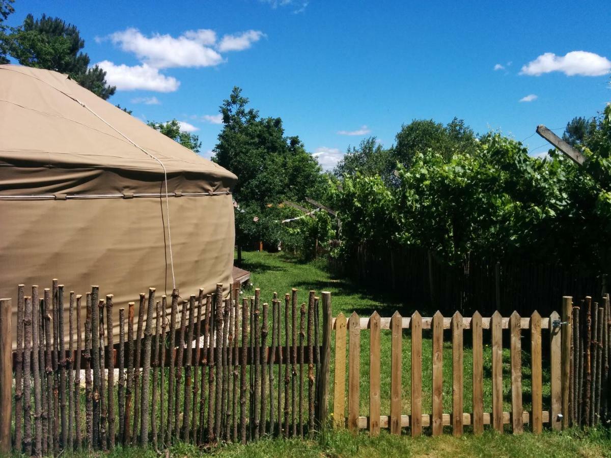 Star Gazing Luxury Yurt With River Views, Off Grid Eco Living Vale do Barco エクステリア 写真